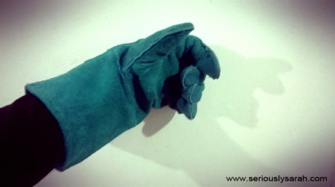 Elsa's glove?